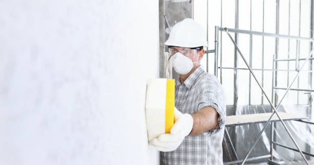 Best Industrial Mold Remediation  in Tuntutuli, AK